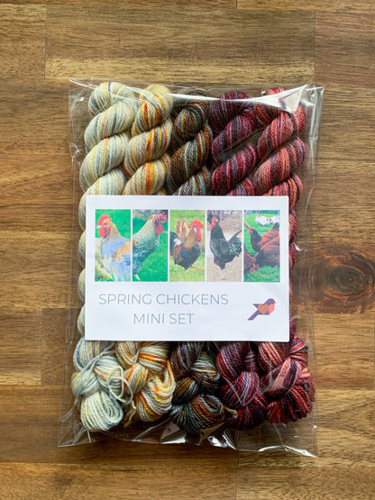 SPRING CHICKEN MINI SKEIN SET - NUNDLE SOCK